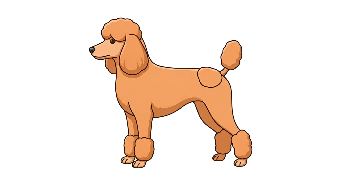 Illustration of a Apricot coat
