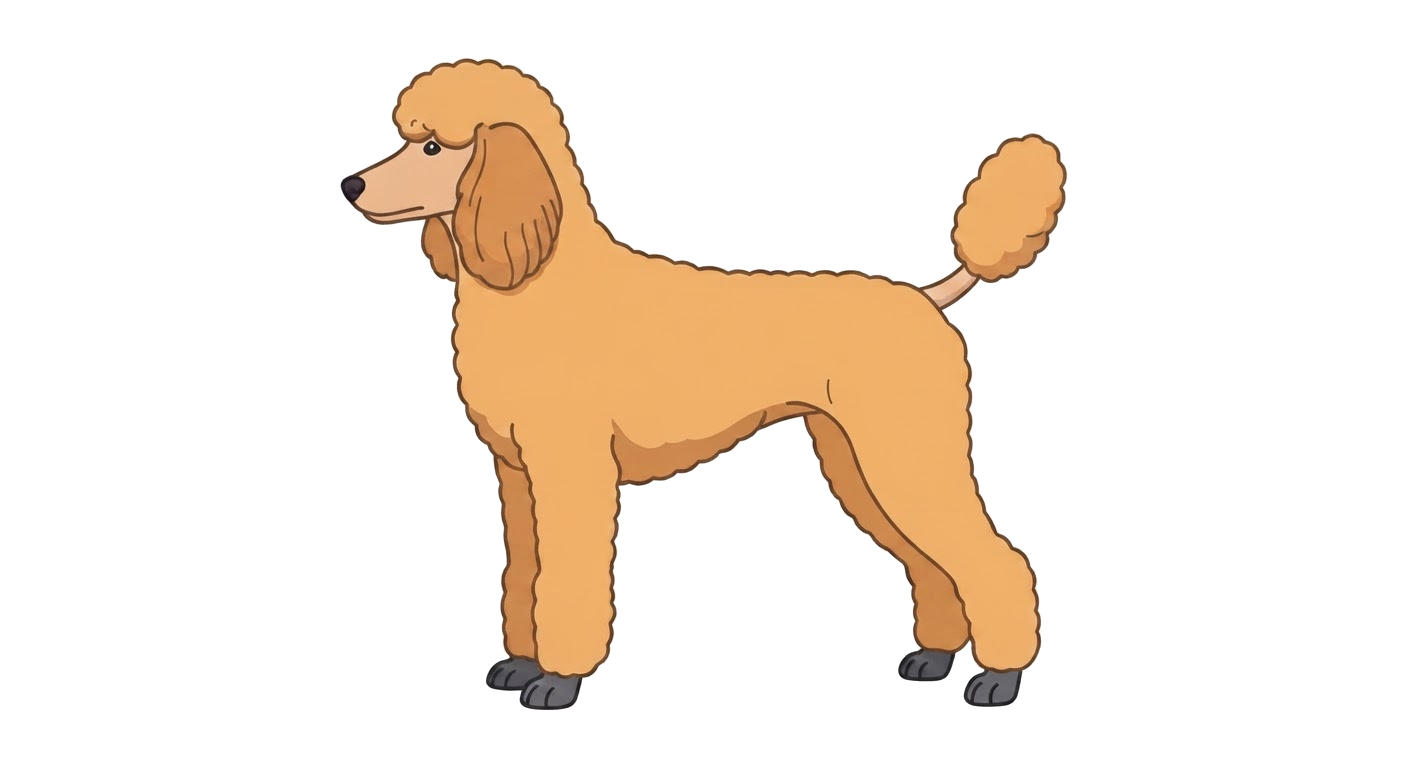 Illustration of a Apricot coat