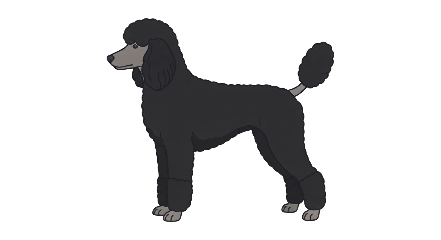 Illustration of a Black coat