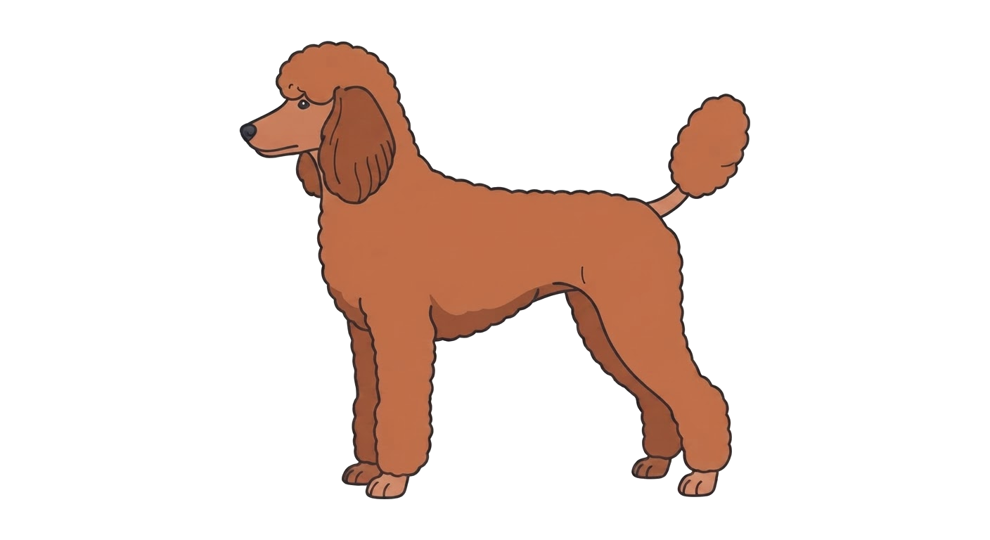 Illustration of a Red coat
