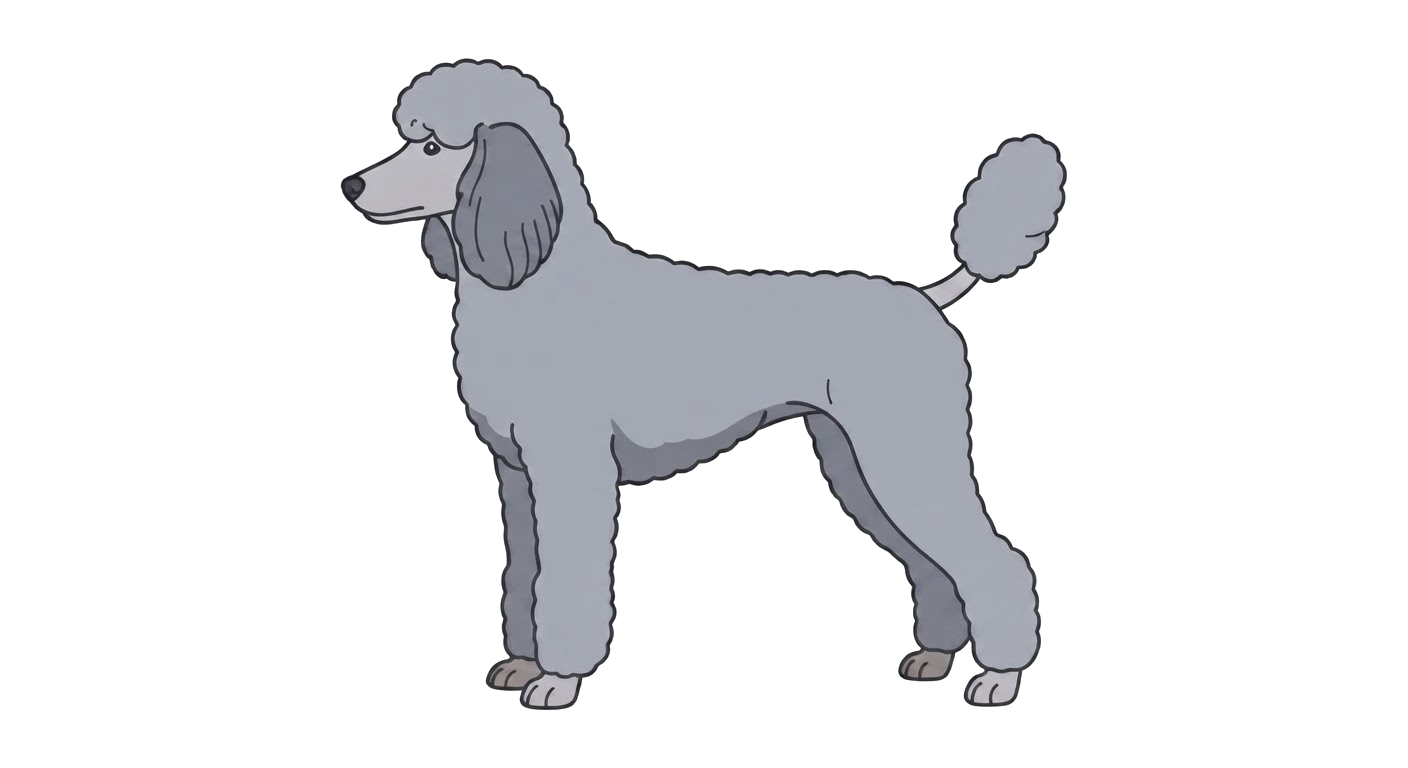 Illustration of a Silver coat
