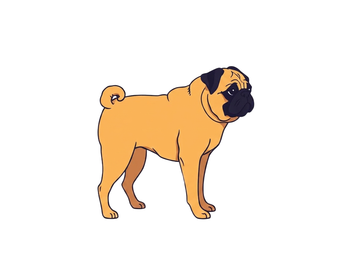 Illustration of a Apricot coat