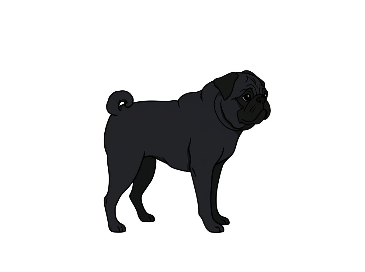 Illustration of a Black coat