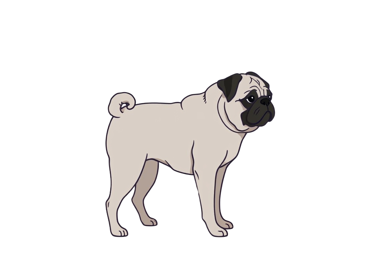 Illustration of a Silver fawn coat