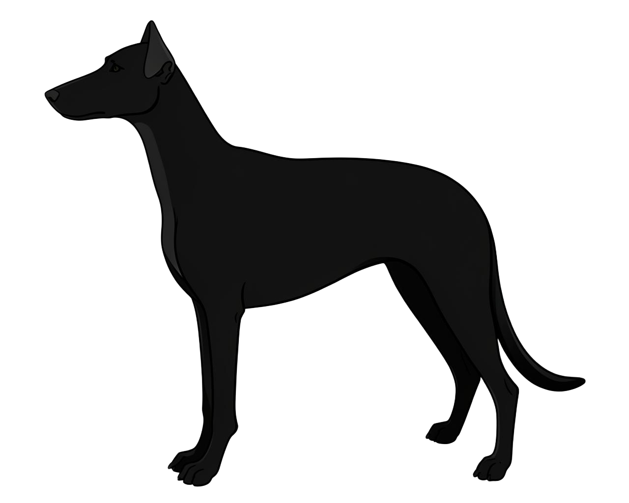 Illustration of a Black coat