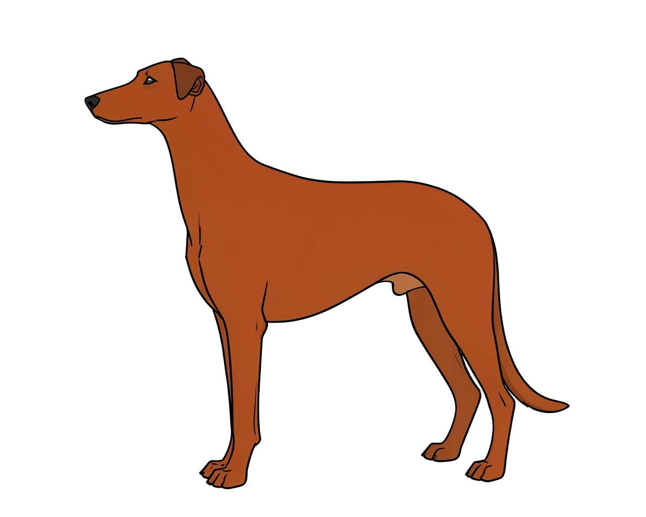 Illustration of a Red coat