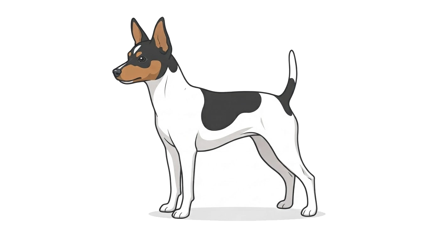 Illustration of a White & Black & Tan coat