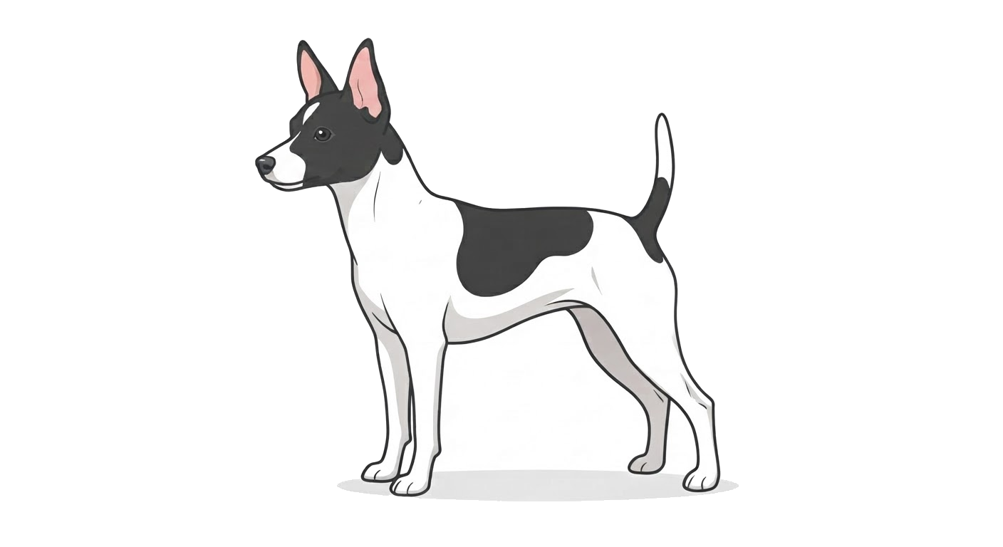 Illustration of a White & Black coat