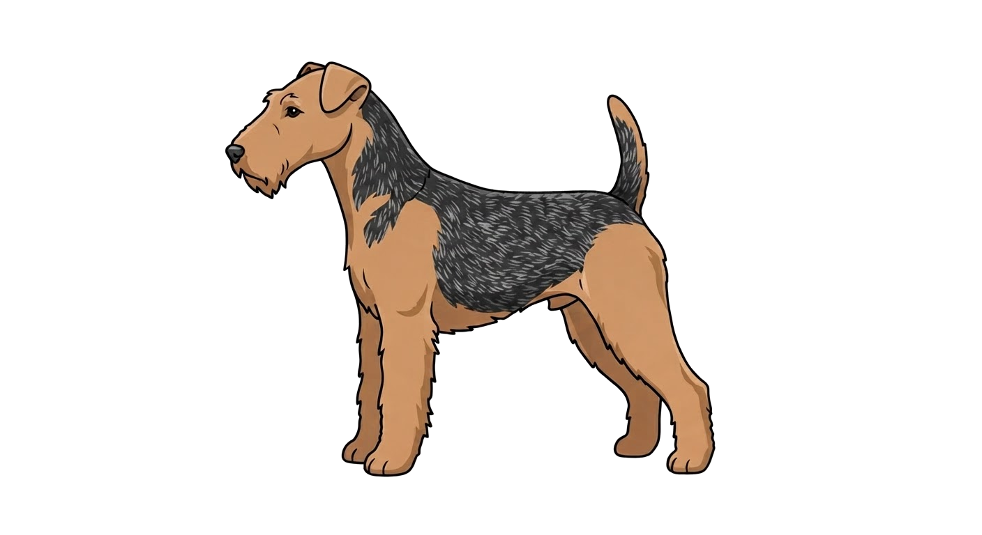 Illustration of a Black grizzle and tan coat